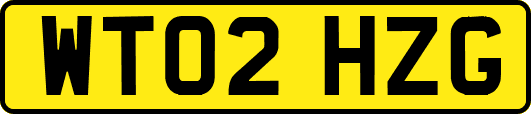 WT02HZG