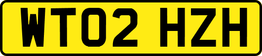 WT02HZH