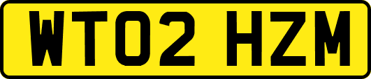 WT02HZM