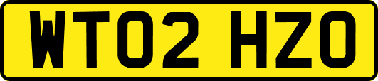 WT02HZO