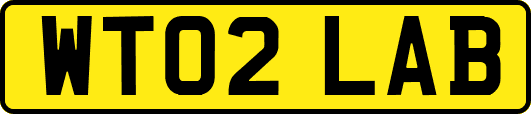 WT02LAB