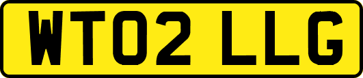 WT02LLG