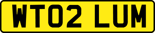 WT02LUM