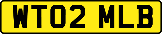 WT02MLB