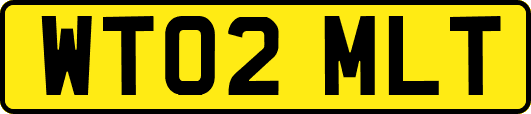 WT02MLT