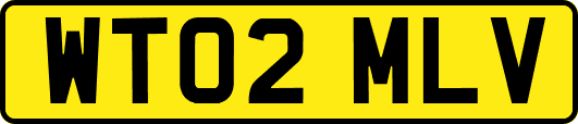 WT02MLV