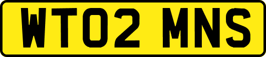 WT02MNS