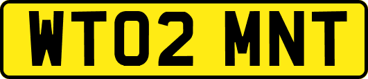 WT02MNT