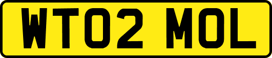 WT02MOL