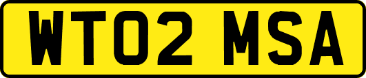 WT02MSA