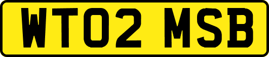 WT02MSB