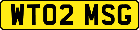 WT02MSG