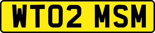 WT02MSM