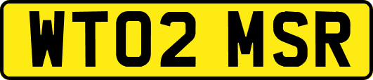 WT02MSR