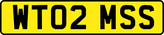 WT02MSS