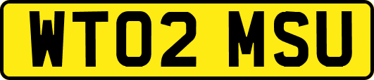 WT02MSU