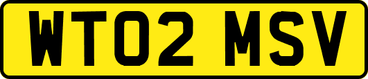 WT02MSV