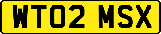 WT02MSX