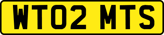 WT02MTS