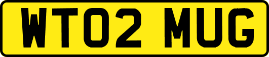 WT02MUG