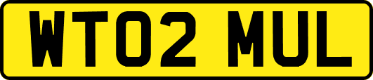 WT02MUL
