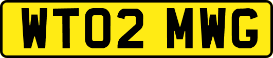 WT02MWG