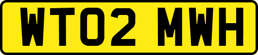 WT02MWH