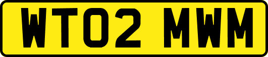 WT02MWM