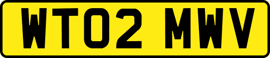 WT02MWV