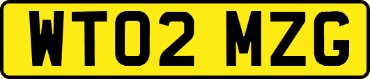 WT02MZG