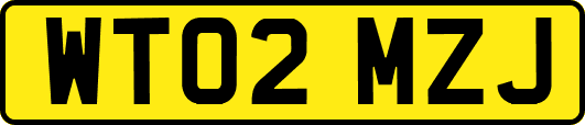 WT02MZJ