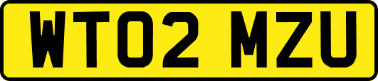 WT02MZU