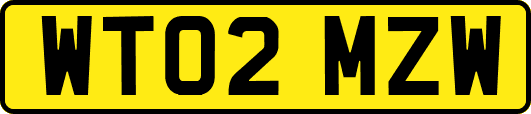 WT02MZW