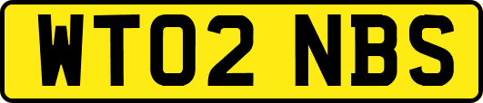 WT02NBS