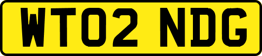WT02NDG