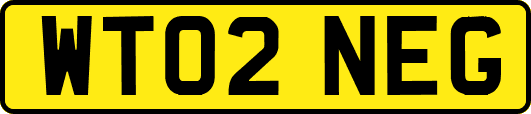 WT02NEG
