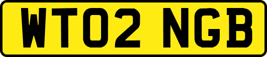 WT02NGB