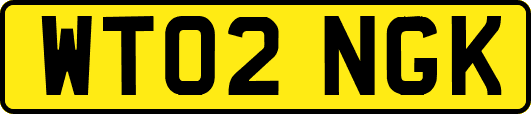 WT02NGK