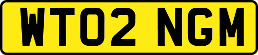 WT02NGM