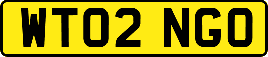 WT02NGO