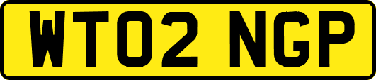 WT02NGP