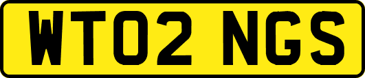 WT02NGS