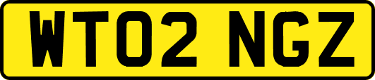 WT02NGZ