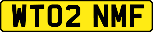 WT02NMF