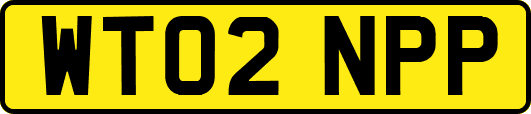 WT02NPP