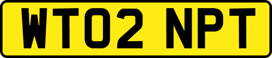 WT02NPT