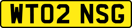 WT02NSG