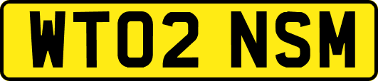 WT02NSM