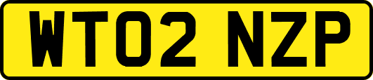WT02NZP