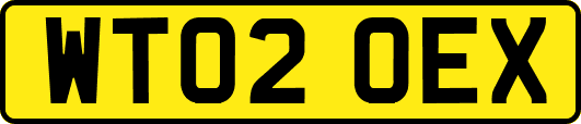 WT02OEX